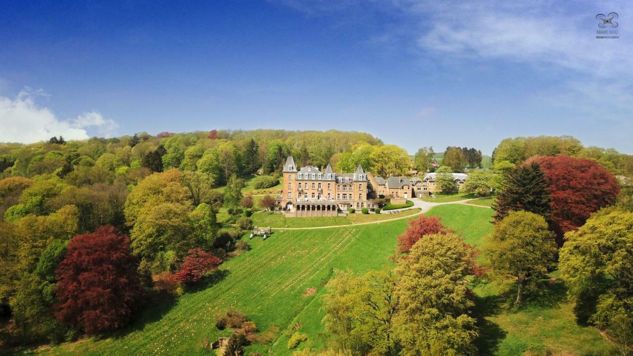 Domaine De Ronchinne - Insolites Maillen Exterior photo