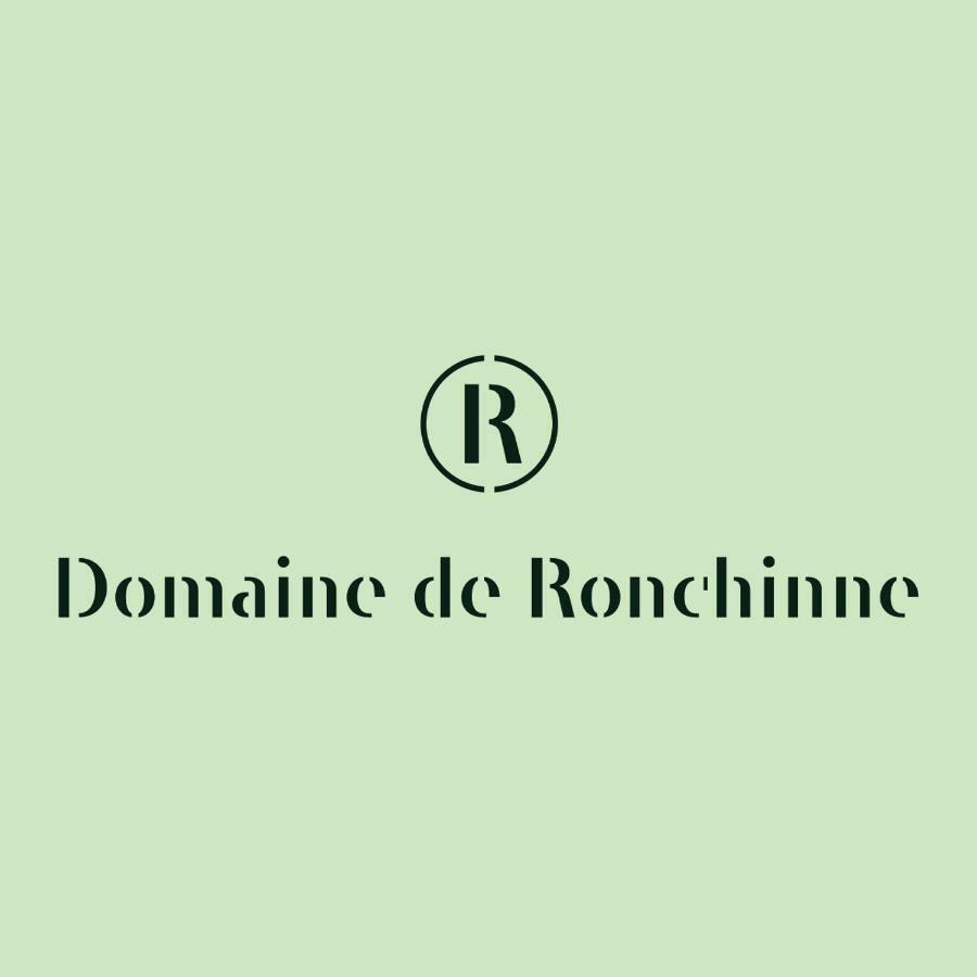 Domaine De Ronchinne - Insolites Maillen Exterior photo